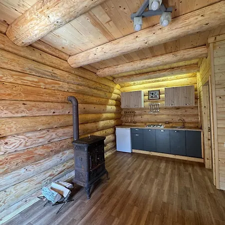 House Near The River Polyana (Transcarpathia)